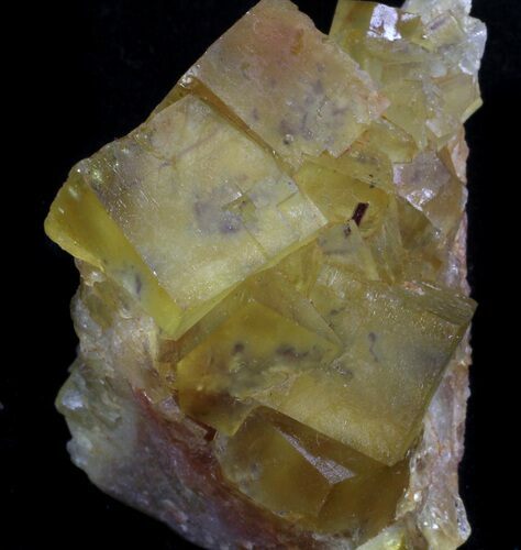 Lustrous, Yellow Cubic Fluorite Crystals - Morocco #37481